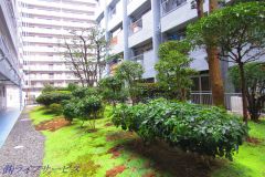 緑の多い敷地内です
