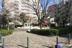 新高東公園（新高３丁目）