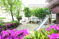 緑の多い敷地内